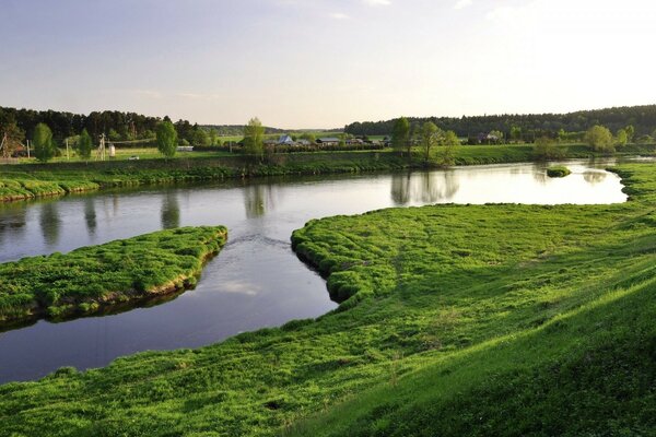 Río naturaleza vegetación árboles horizonte