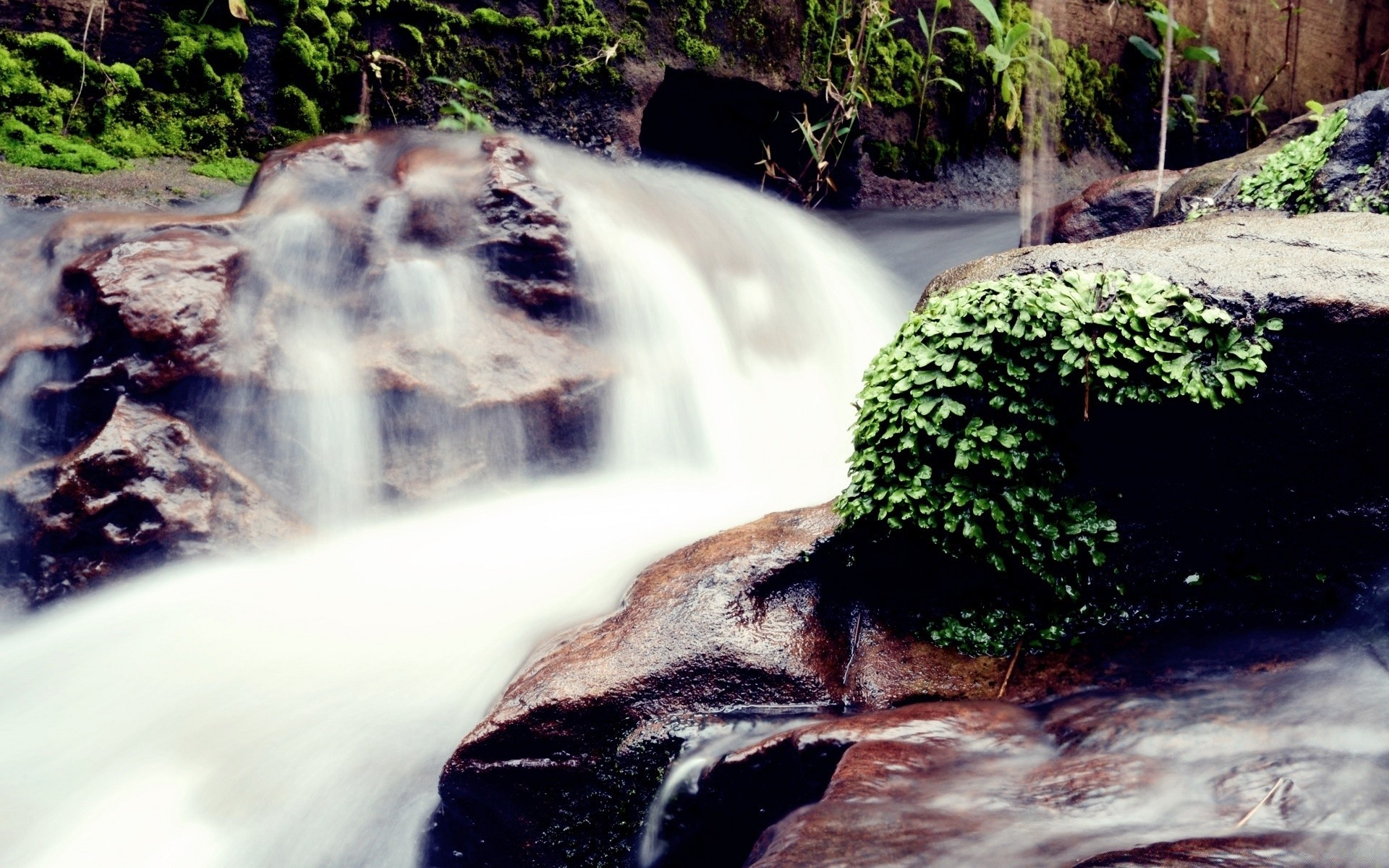 flüsse teiche und bäche teiche und bäche wasser im freien wasserfall holz natur unschärfe bewegung reisen fluss tageslicht holz nass umwelt