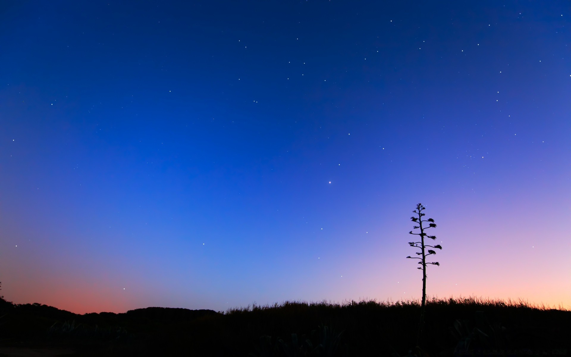 himmel himmel mond natur landschaft im freien sonne licht sonnenuntergang baum silhouette raum abend dämmerung dämmerung winter dunkel gutes wetter