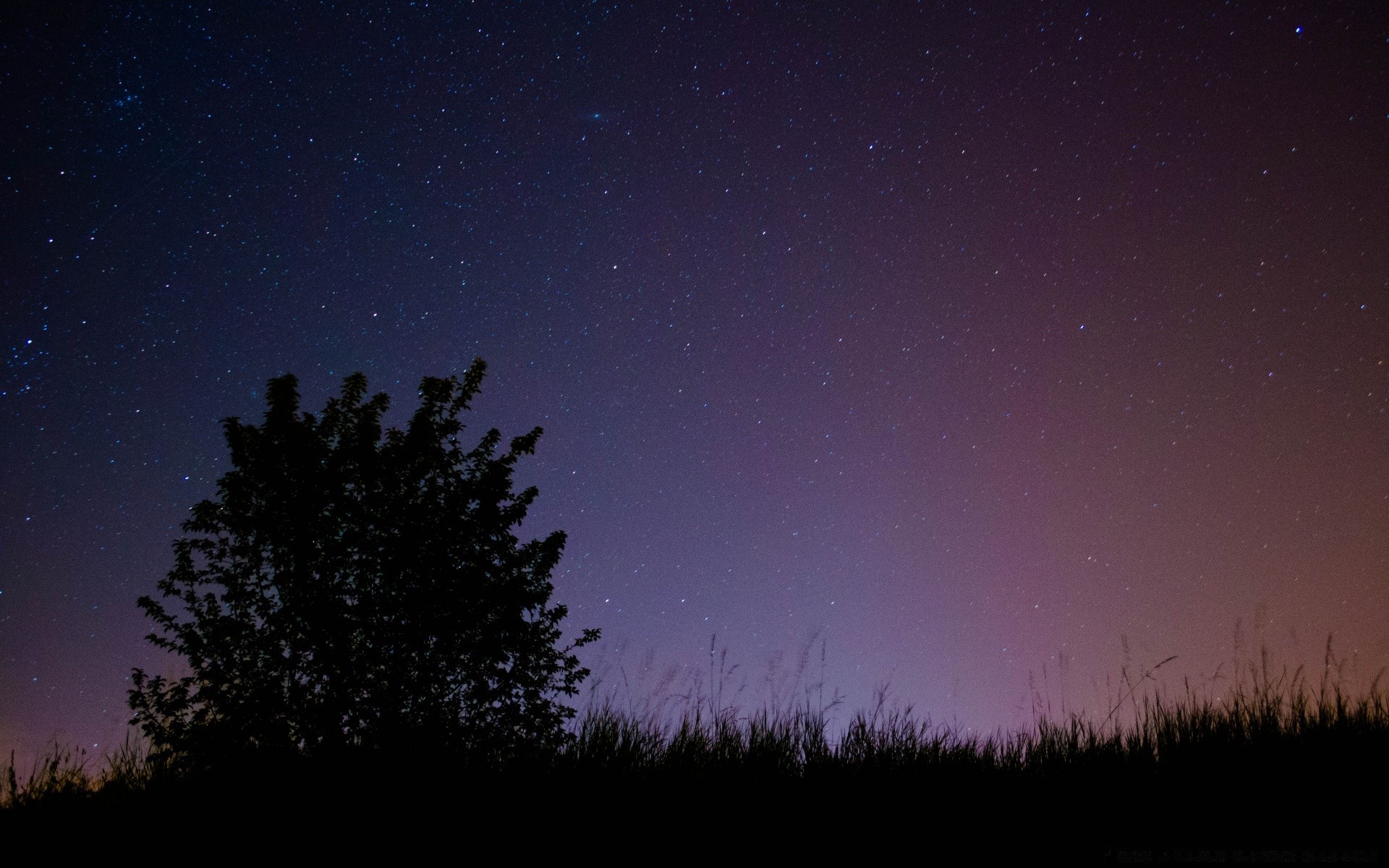 cielo luna astronomia cielo scuro costellazione galassia spazio paesaggio mistero inverno sera silhouette albero natura luce sole crepuscolo nebbia tempo