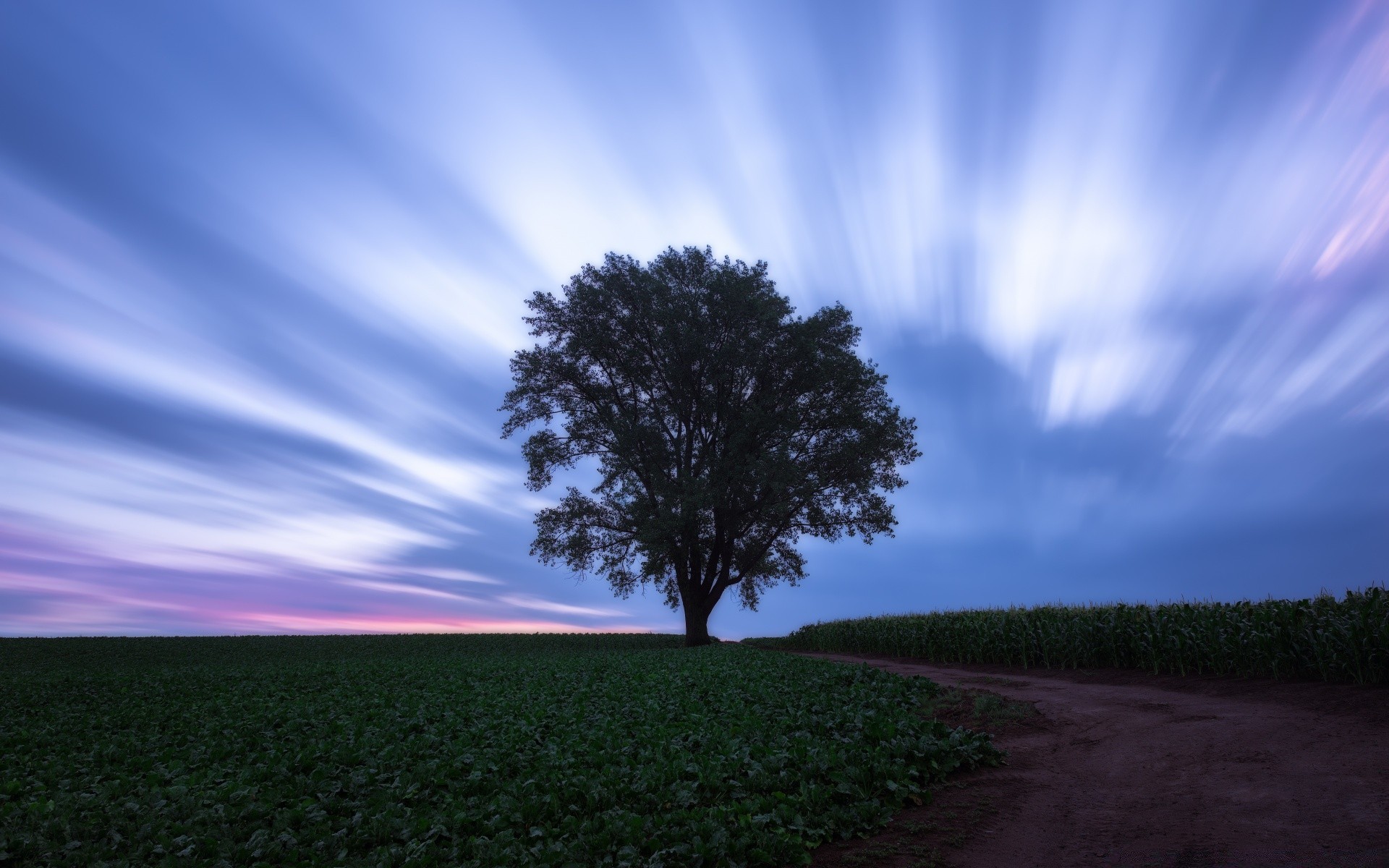 himmel landschaft natur sonne baum himmel dämmerung sonnenuntergang landschaft gutes wetter des ländlichen im freien gras feld licht abend sommer