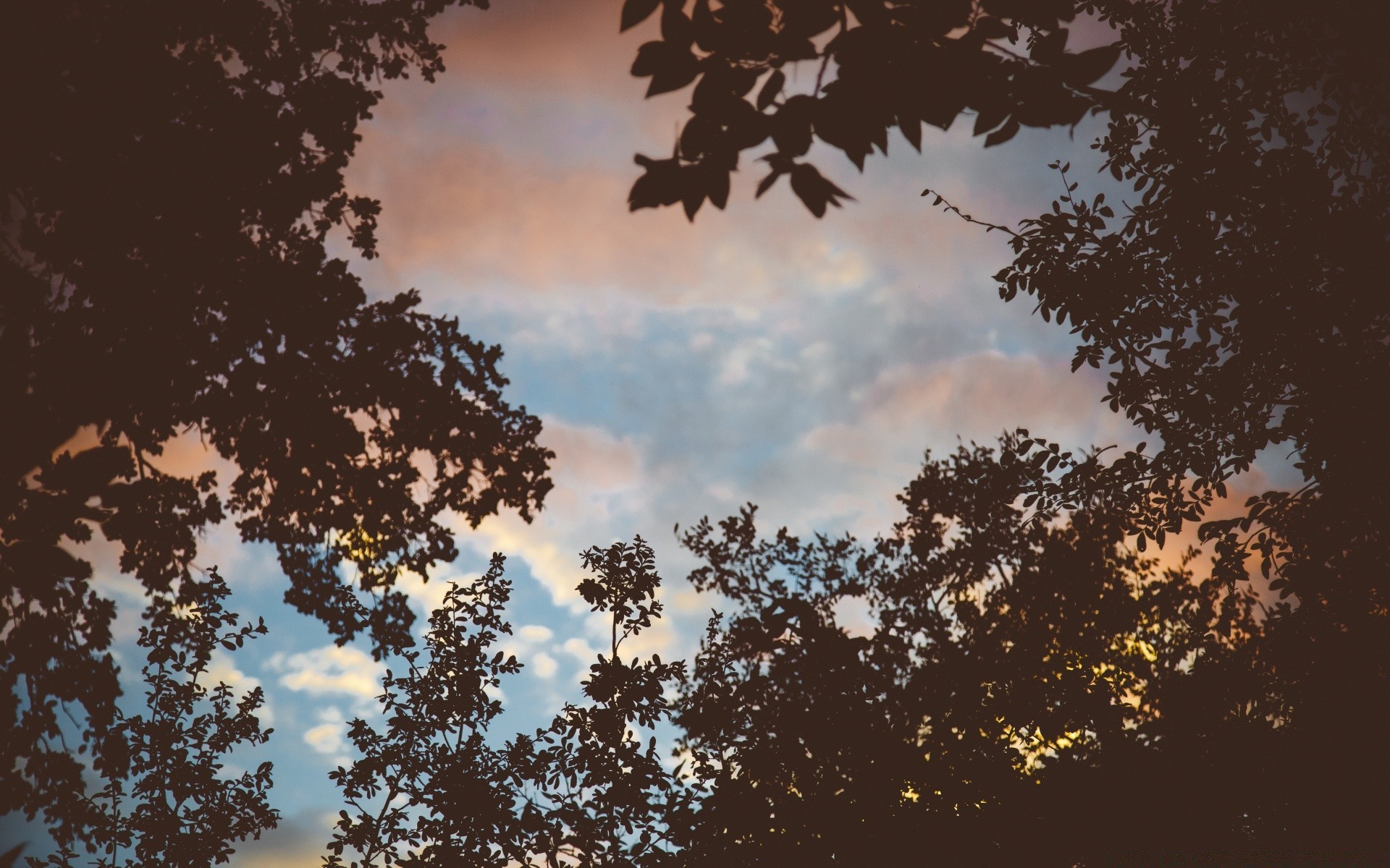 himmel natur holz im freien herbst blatt dämmerung himmel landschaft sonne desktop holz hell jahreszeit gutes wetter