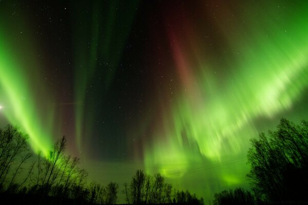 Ein himmlisches Phänomen-das Nordlicht