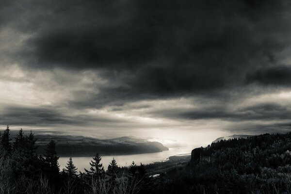 Paisaje en blanco y negro río entre el bosque