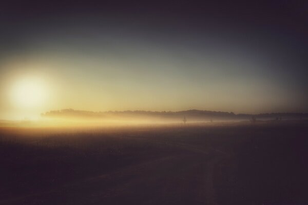 Evening sunset in a foggy field