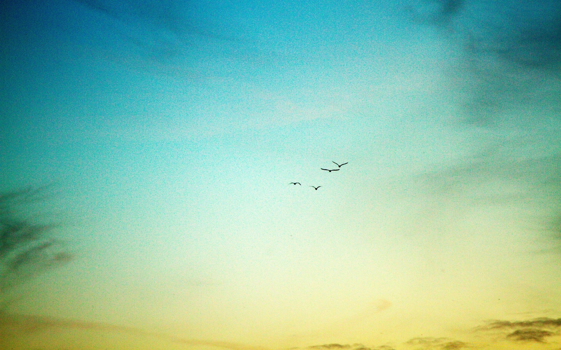 the sky sky landscape airplane light sunset silhouette flight aircraft bird daylight sun beach nature cloud color outdoors evening desktop weather