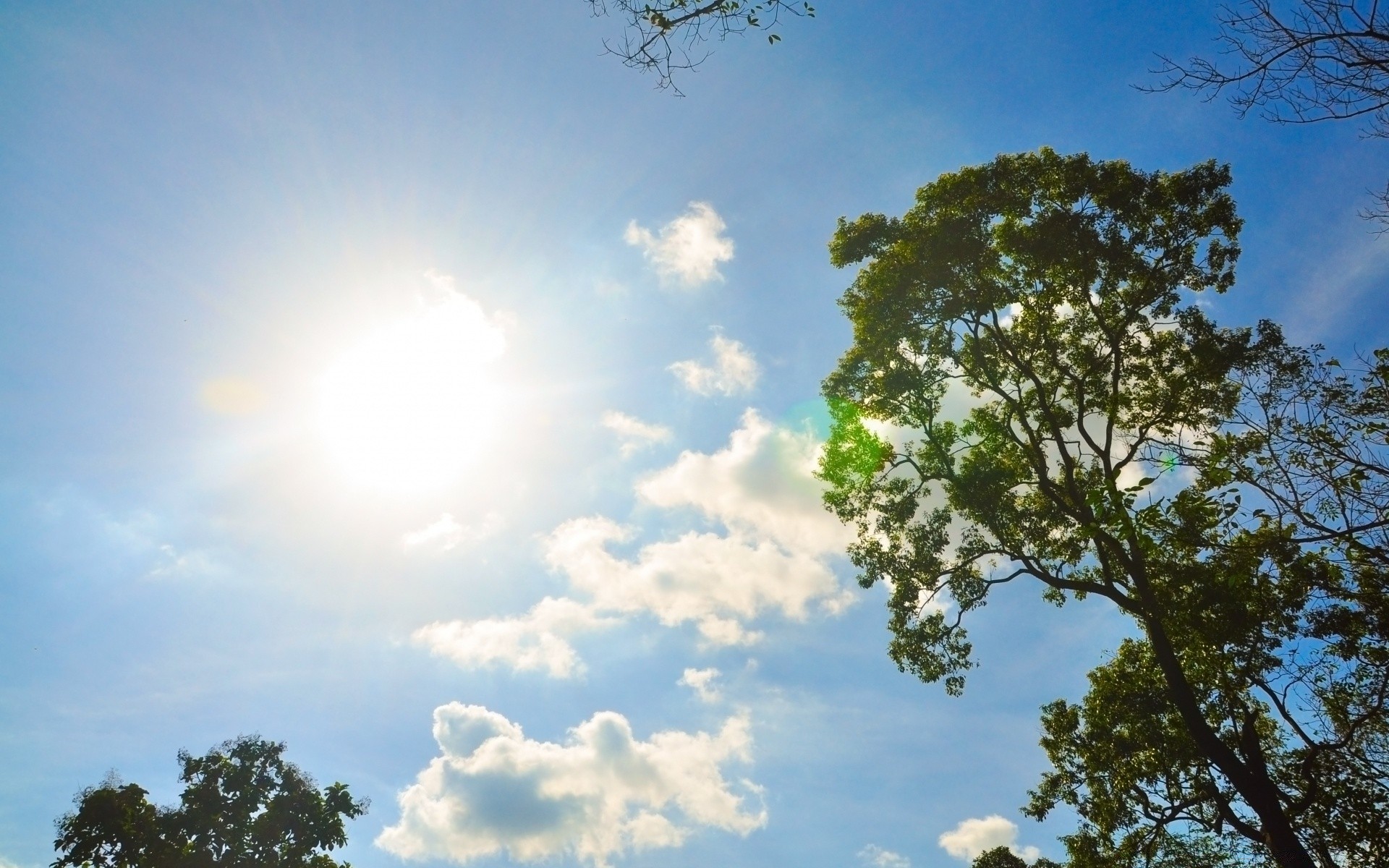 cielo naturaleza cielo paisaje sol buen tiempo árbol verano tiempo al aire libre medio ambiente brillante luz nube temporada luz del día color espectáculo hoja cielo