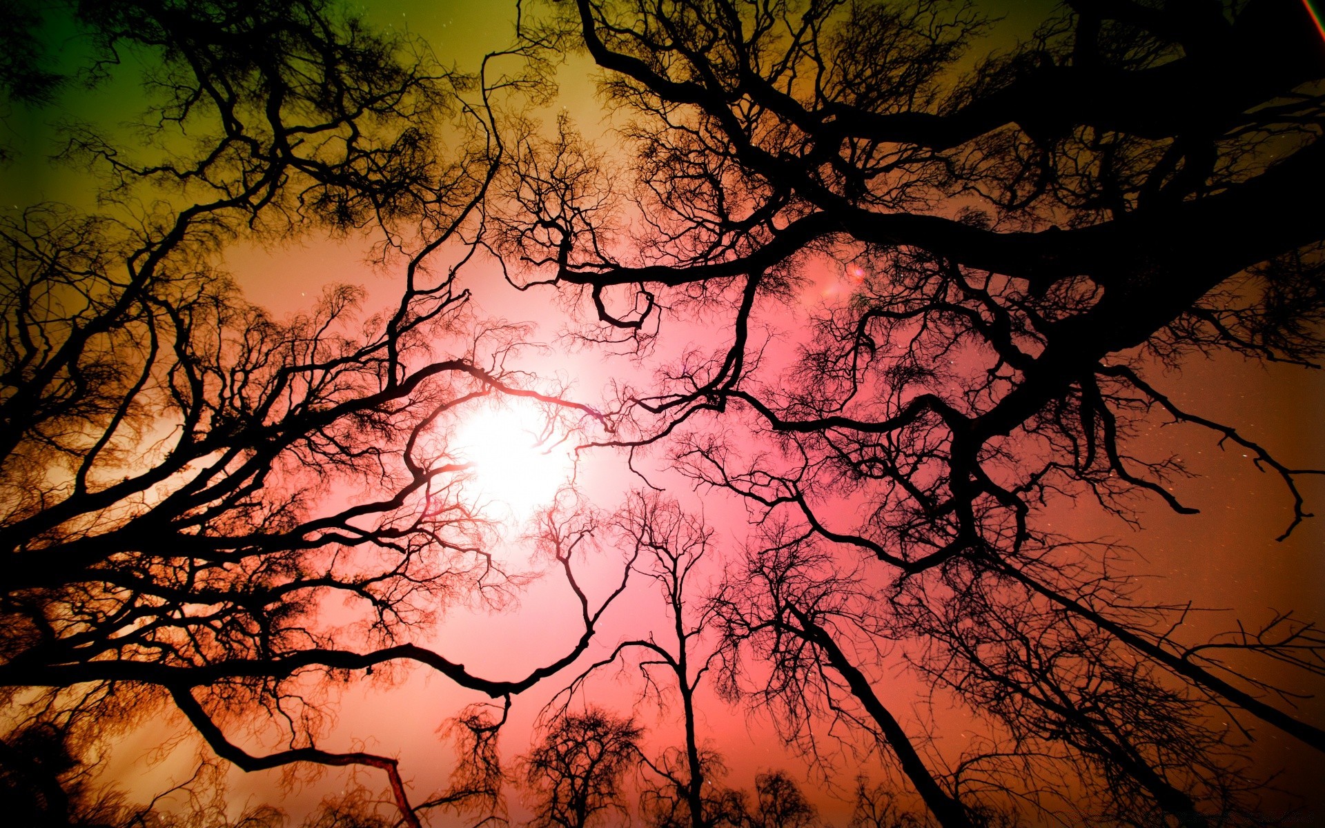 himmel baum dämmerung natur sonnenuntergang silhouette herbst sonne landschaft holz zweig abend wetter hintergrundbeleuchtung gutes wetter hell nebel blatt moody nebel