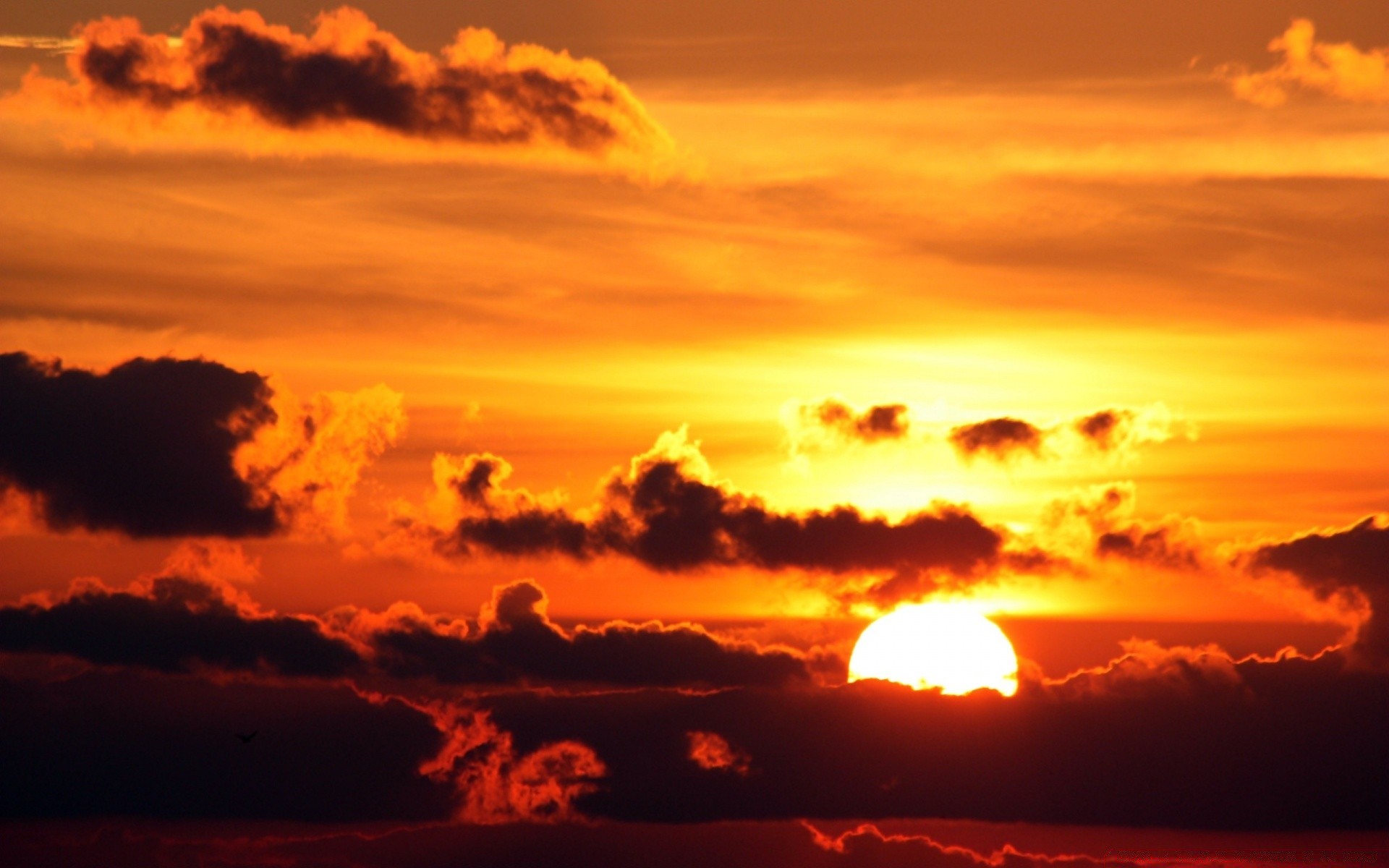 ciel coucher de soleil aube soleil soir crépuscule ciel rétro-éclairé silhouette dramatique nature beau temps paysage lumière