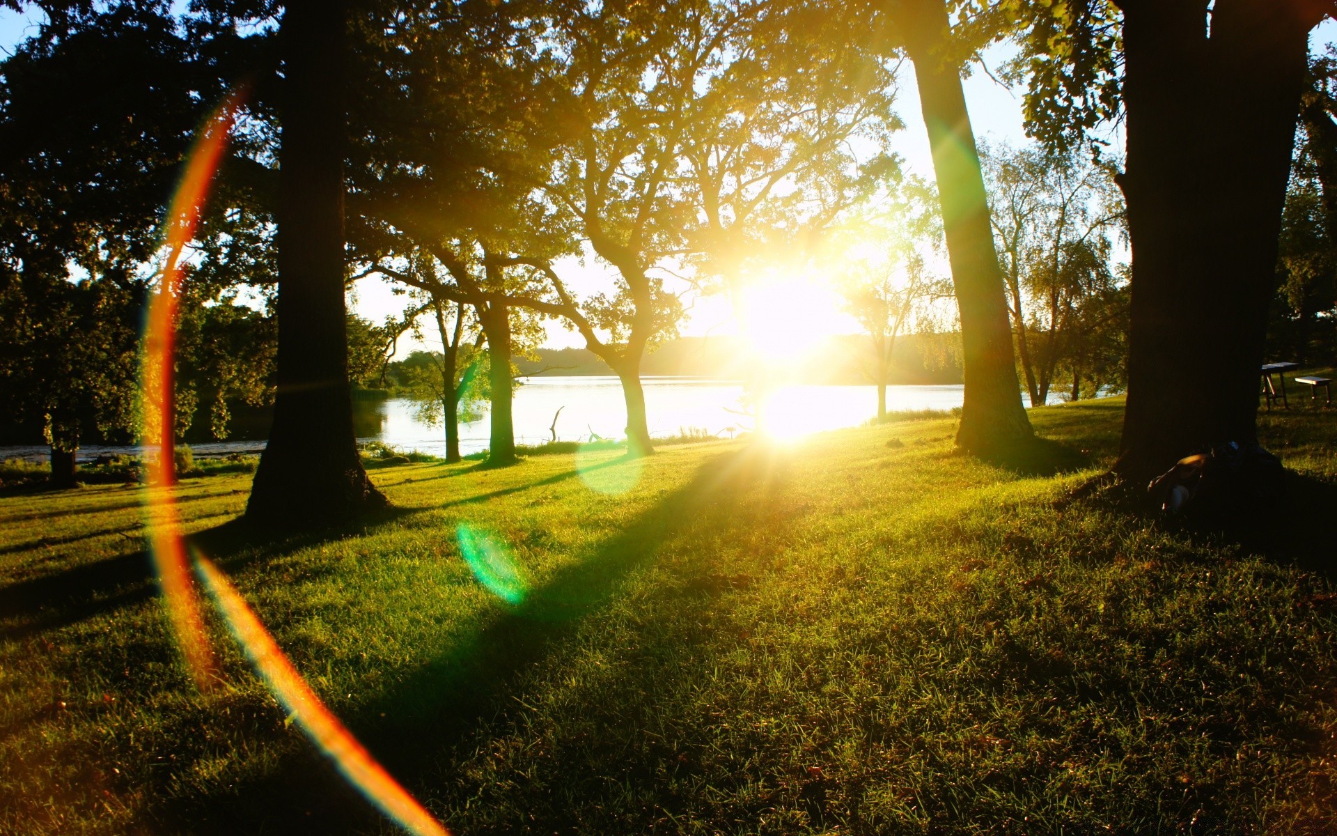 the sky tree park light landscape dawn wood sun shadow fall nature outdoors road sunset fair weather backlit leaf grass guidance