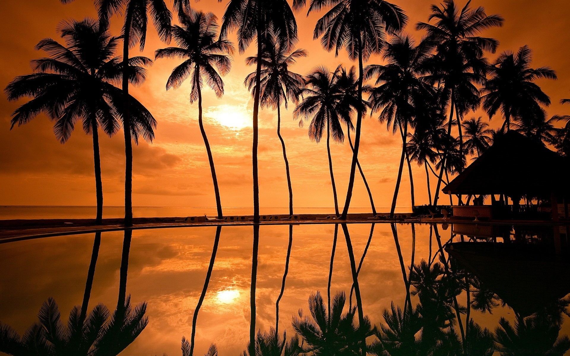 céu palma tropical praia coco sol mar exóticas pôr do sol oceano árvore paraíso férias ilha resort idílio verão areia viagem silhueta