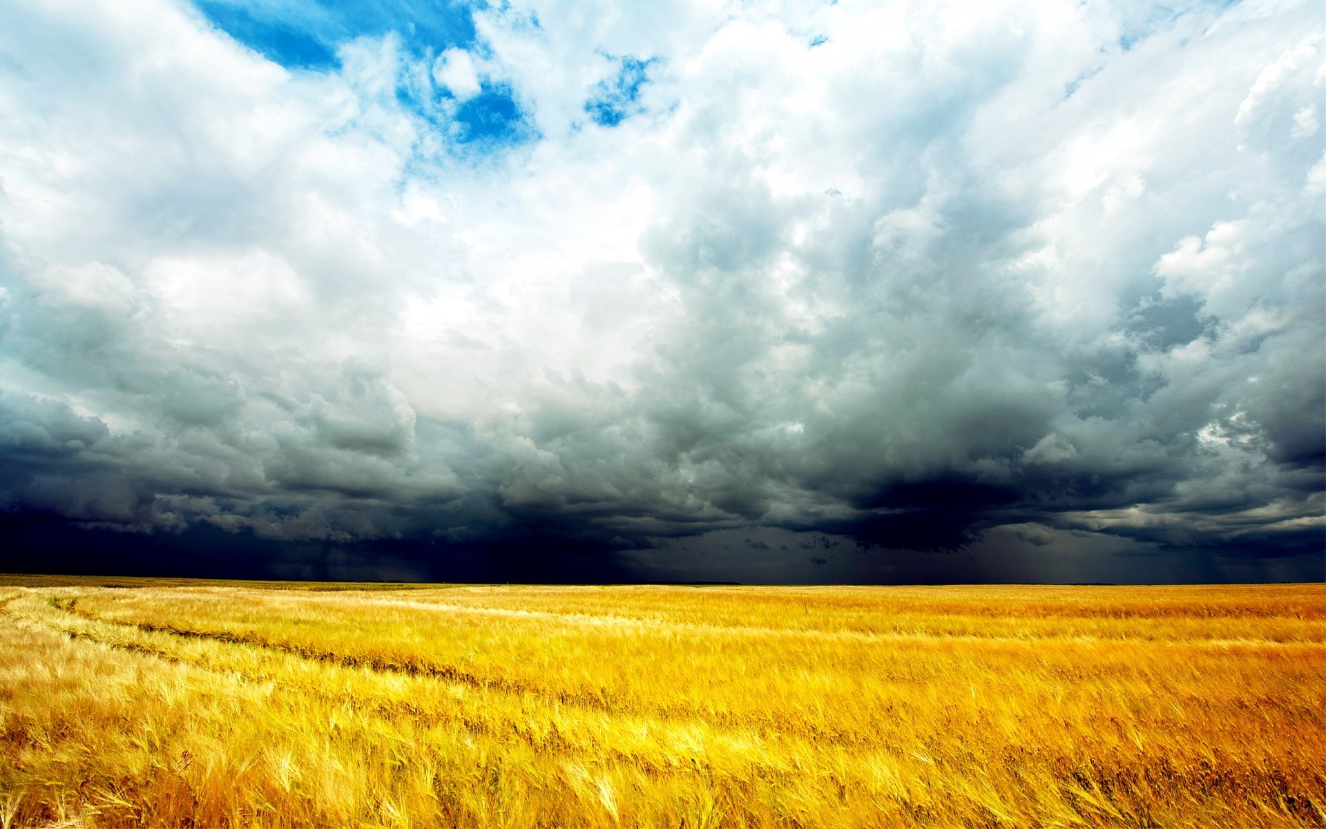 ciel ciel nature paysage champ rural ferme agriculture blé céréales pâturage nuage récolte beau temps maïs campagne été or soleil à l extérieur