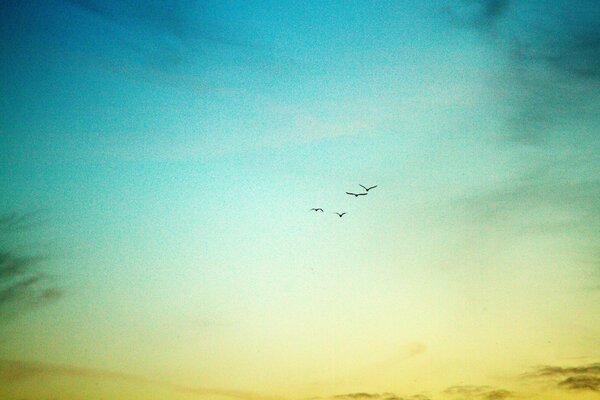 Bright sky with a crew for airplane flights