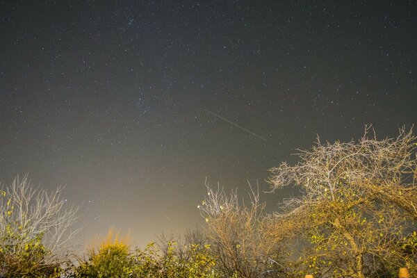 Paesaggio Celeste nel vecchio giardino