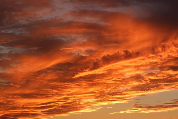 Brillantes nubes de sangre en el cielo