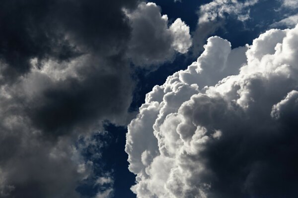 Nature et ciel par beau temps