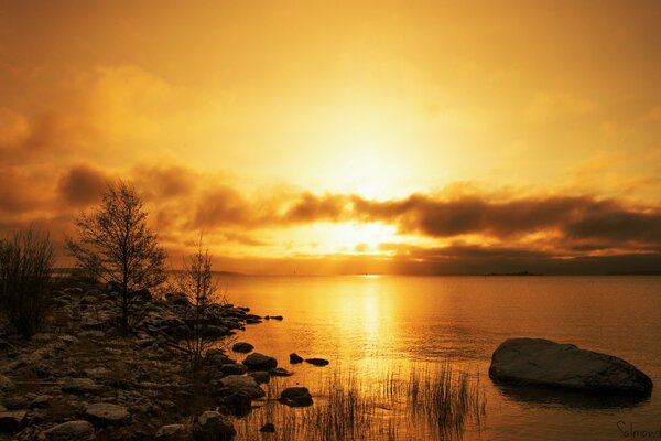 Beautiful sunset on the shore of the water