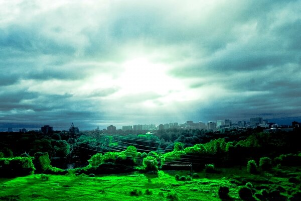 Arbre et ciel. Paysage de la nature