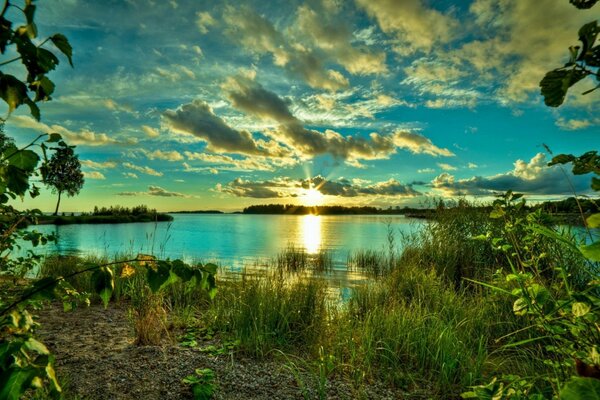 Sunset by the shore in the forest