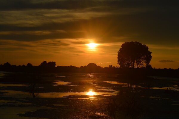 Reflexion des Sonnenuntergangs im Wasser