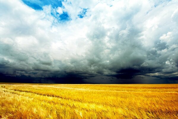 Naturaleza a la espera de lluvia y tormenta