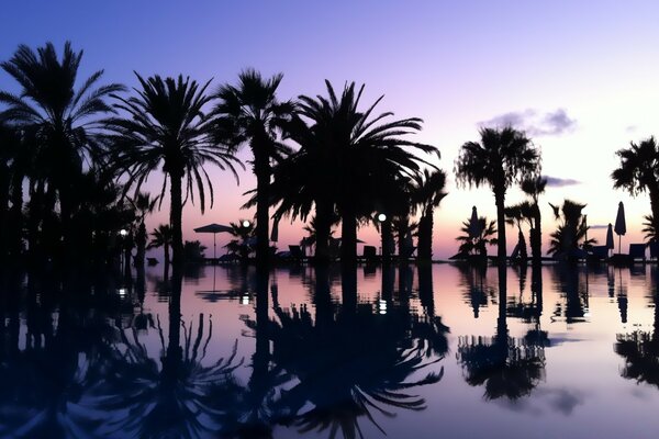 Plage exotique et tropicale comme dans la paume de votre main