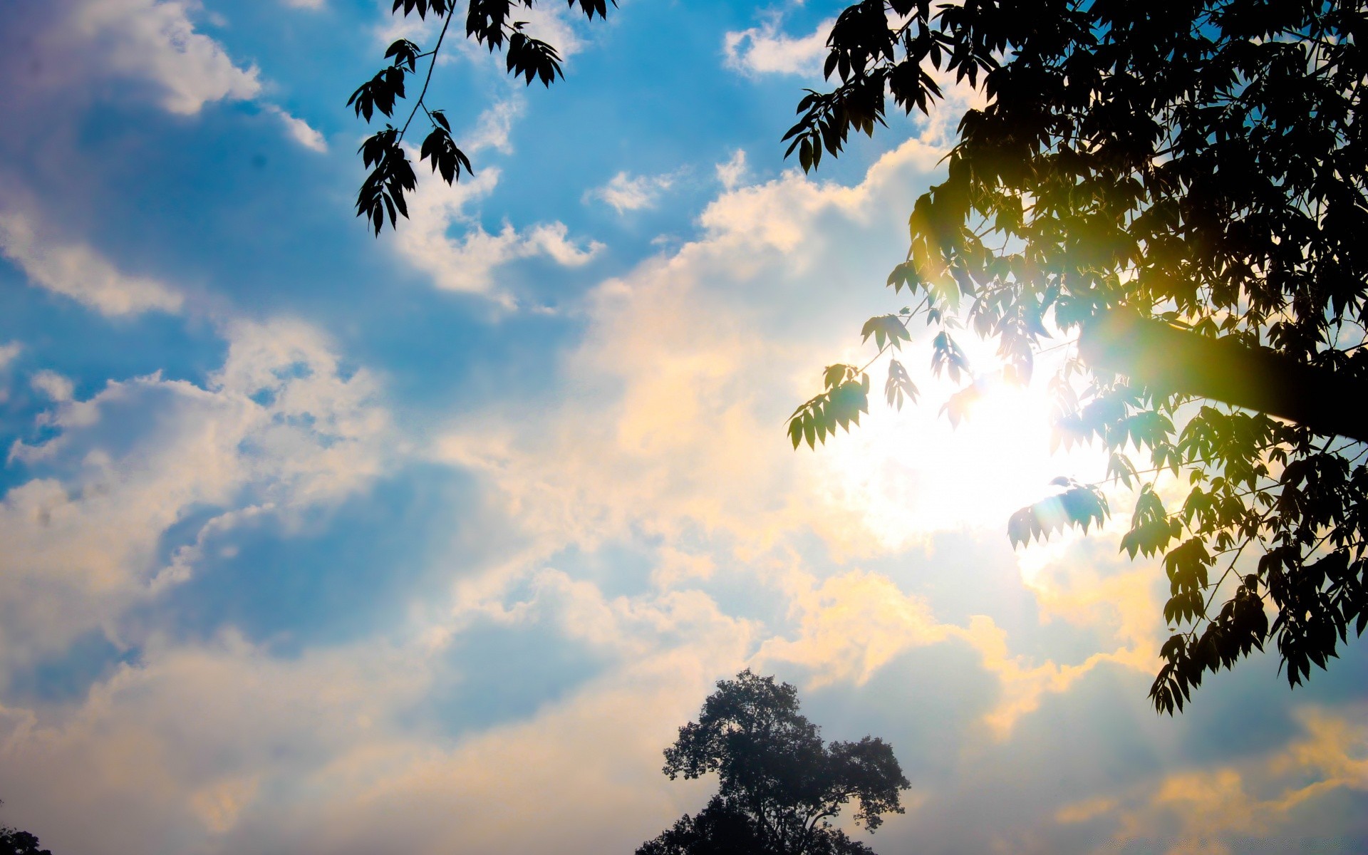 cielo naturaleza cielo sol paisaje verano luz buen tiempo al aire libre árbol puesta de sol tiempo color escritorio amanecer brillante