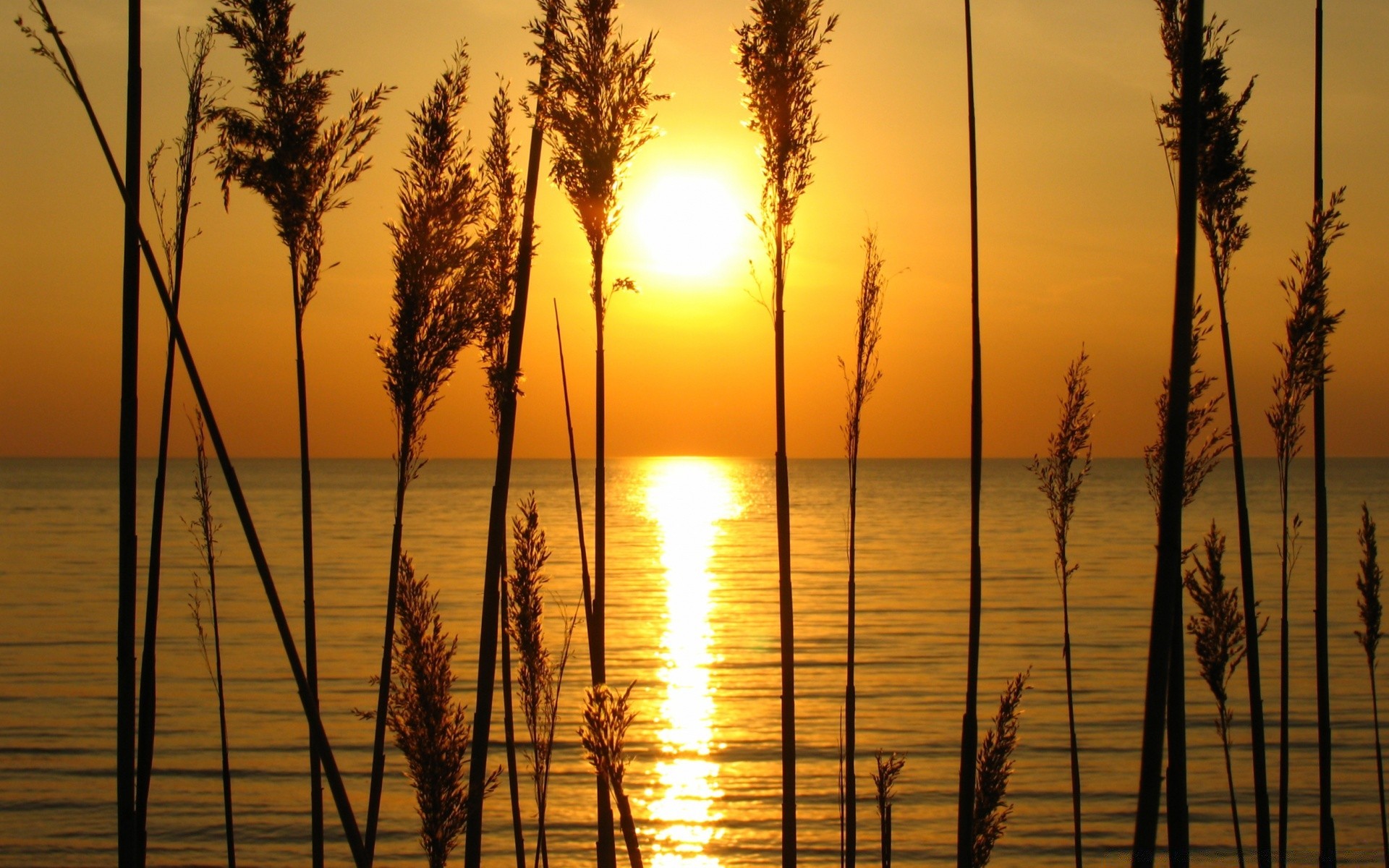 himmel dämmerung sonnenuntergang sonne wasser reed landschaft abend reflexion natur gutes wetter sommer dämmerung himmel hintergrundbeleuchtung silhouette licht gelassenheit see