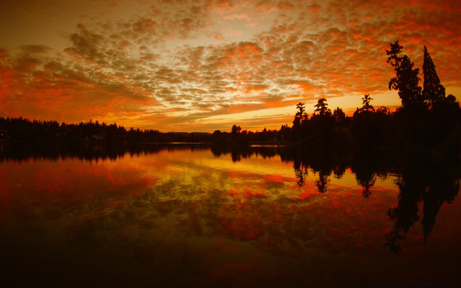 ciel coucher de soleil aube soir réflexion silhouette rétro-éclairé lac eau crépuscule arbre paysage rivière à l extérieur ciel