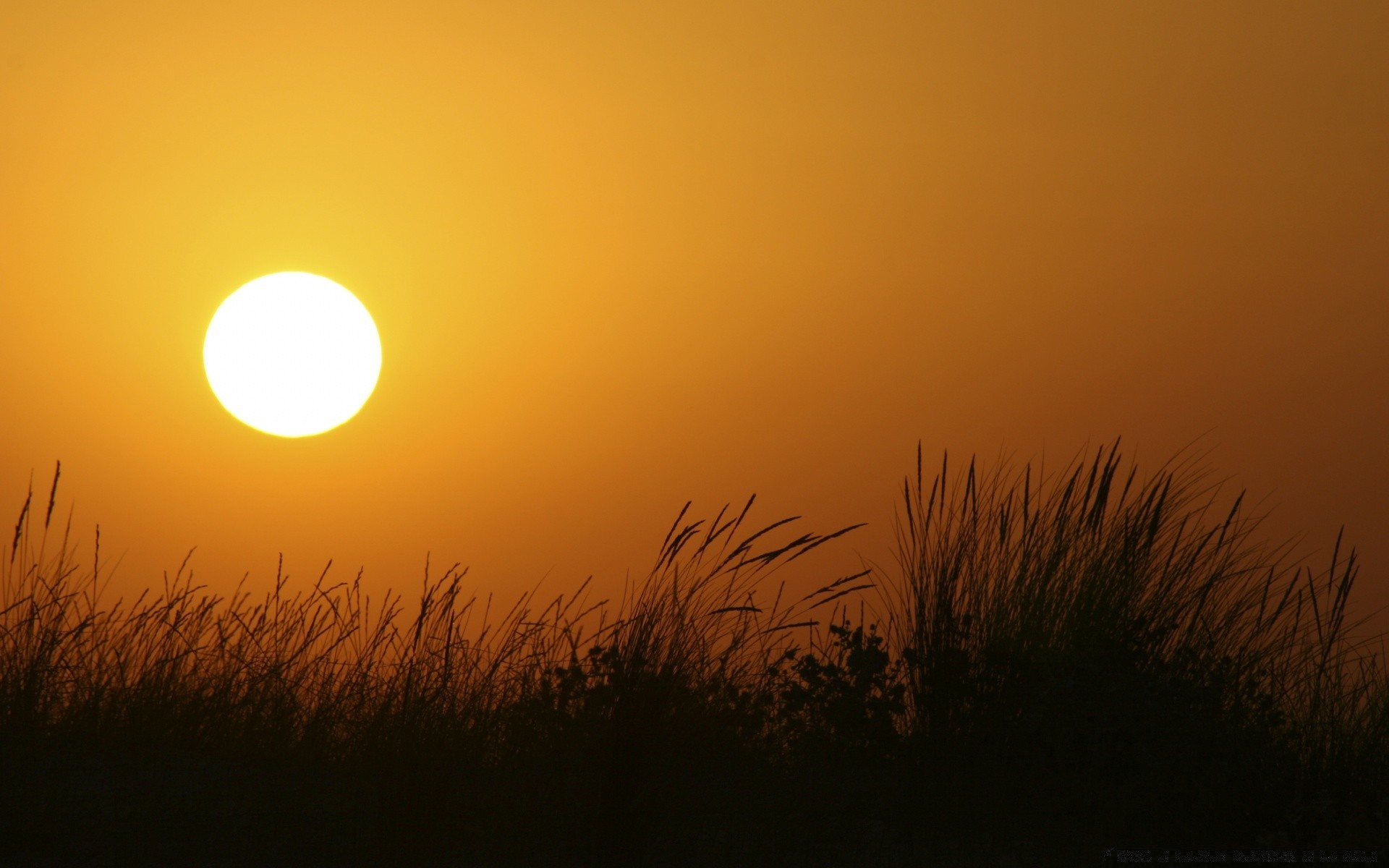 ciel coucher de soleil soleil aube silhouette crépuscule soir paysage nature ciel beau temps rétro-éclairé lumière lune champ été herbe horizon or à l extérieur rural