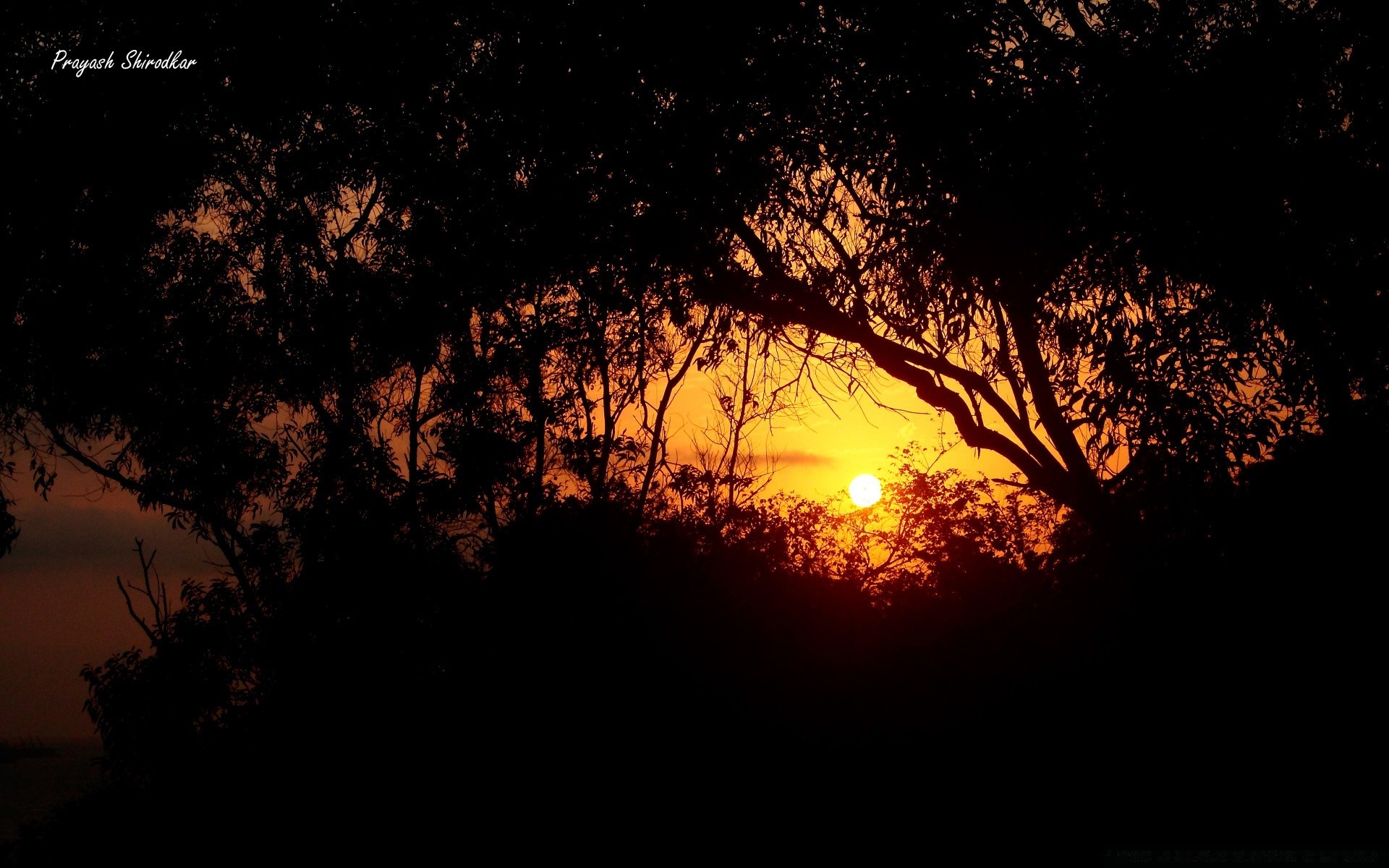 céu árvore silhueta paisagem pôr do sol retroiluminado sol amanhecer luz crepúsculo noite lua natureza céu escuro outono bom tempo mistério desktop