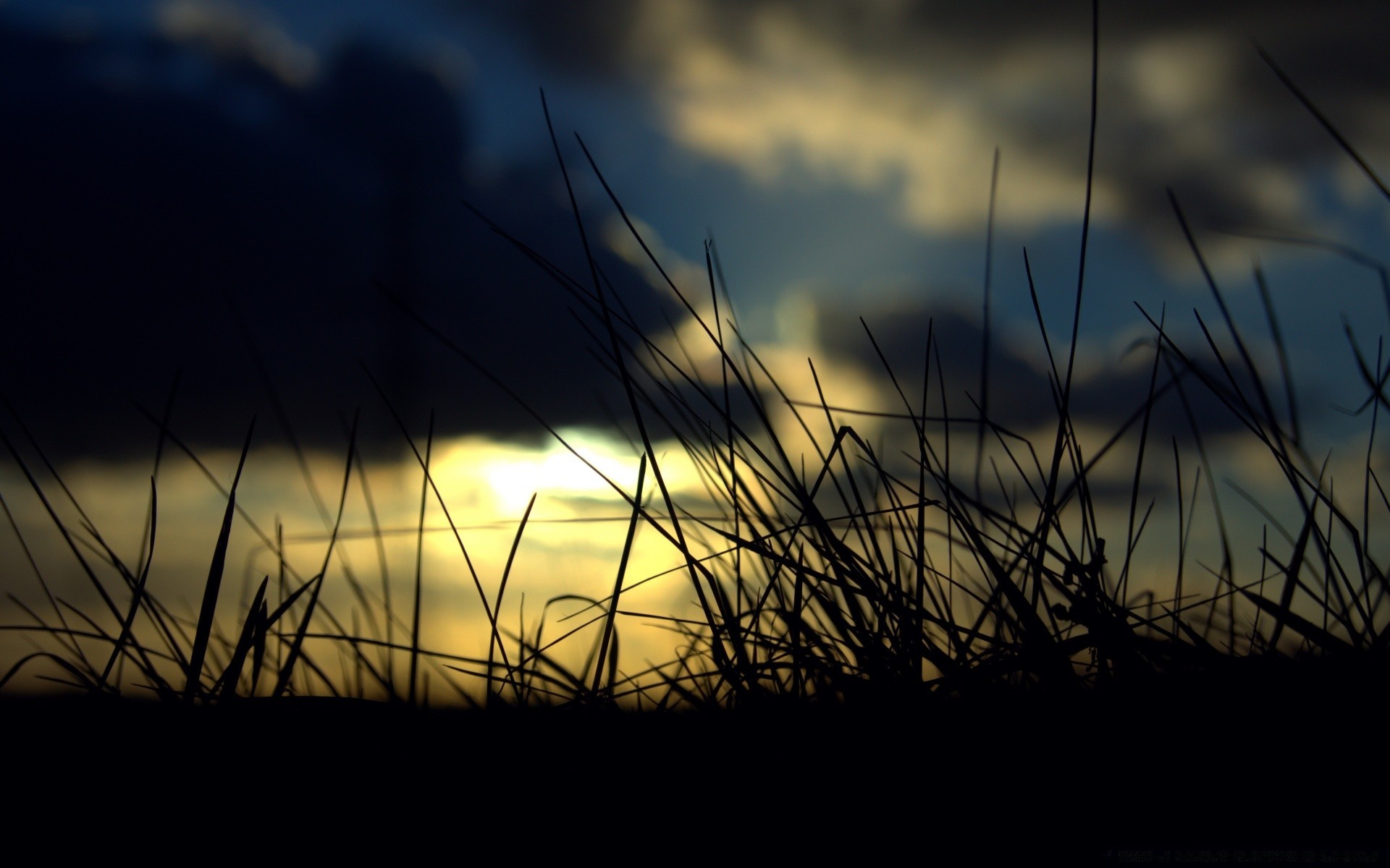 cielo erba tramonto sole campo natura alba fieno paesaggio luce cielo silhouette spiaggia desktop