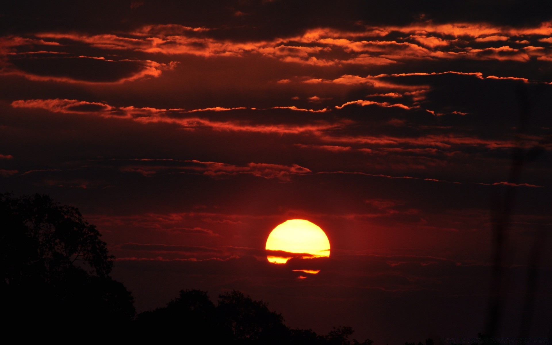 céu pôr do sol amanhecer noite crepúsculo sol céu iluminado silhueta