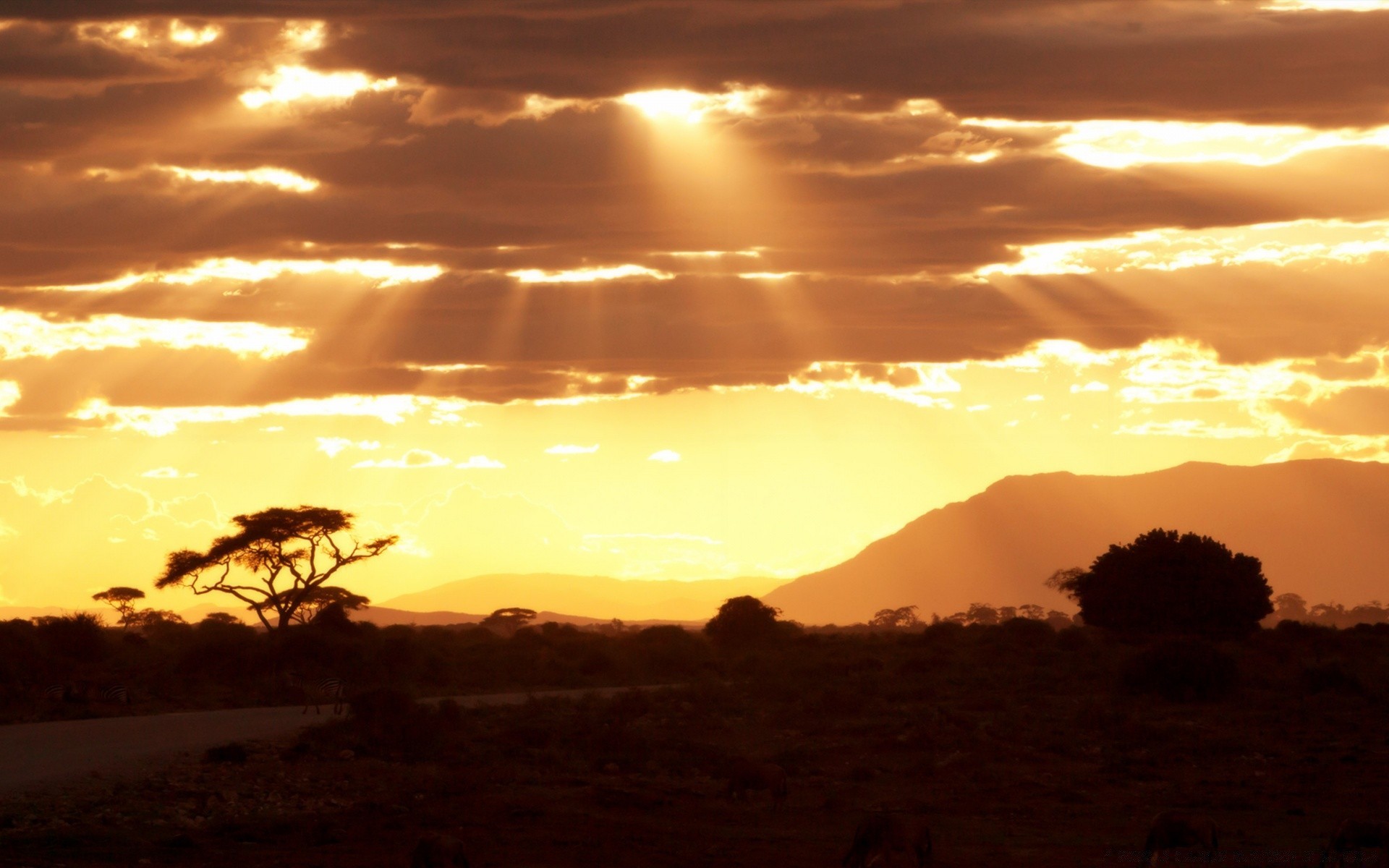 cielo tramonto alba sera illuminato crepuscolo sole silhouette paesaggio cielo deserto albero all aperto bel tempo viaggi luce natura