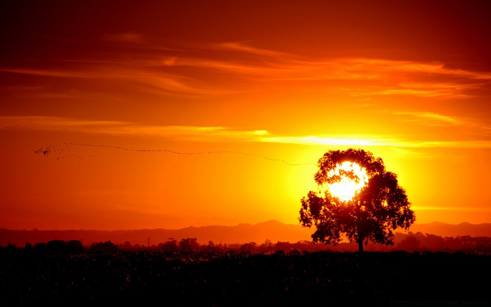 cielo tramonto alba sera sole paesaggio silhouette luce crepuscolo illuminato cielo natura