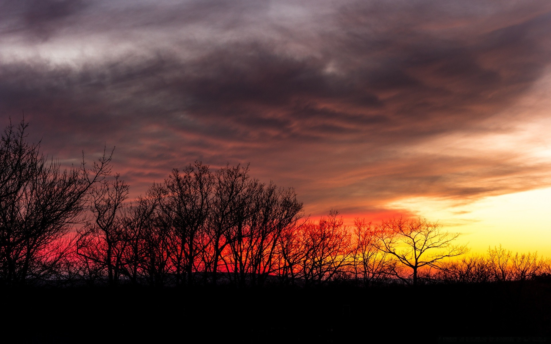 céu pôr do sol amanhecer noite paisagem sol natureza crepúsculo céu árvore silhueta retroiluminado tempo ao ar livre névoa bom tempo luz outono escuro