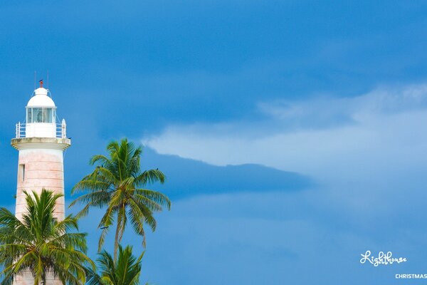 White lighthouse in palm trees against a clear sky