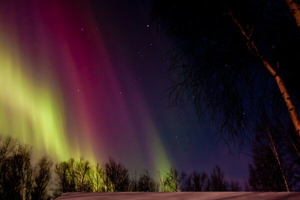 Aurora boreale nel cielo notturno