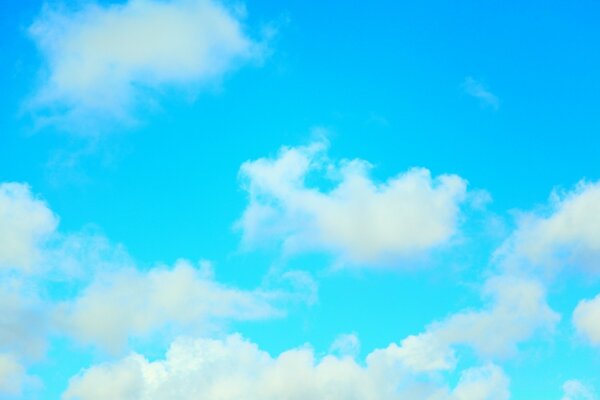 Nuages de plumes sur fond de ciel bleu