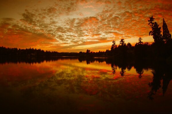 Sonnenuntergang in der Reflexion eines Waldsees