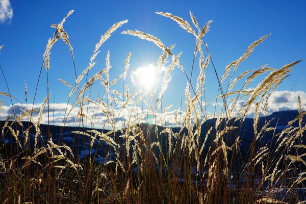 O frio sol de outubro. Paisagem rural