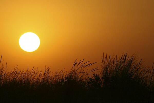 Sonnenuntergang am Himmel im Feld