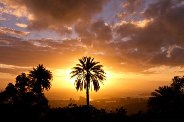 Tropical sunset. Romance. Vacation