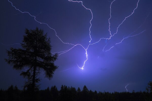 Tormenta miedo al rayo