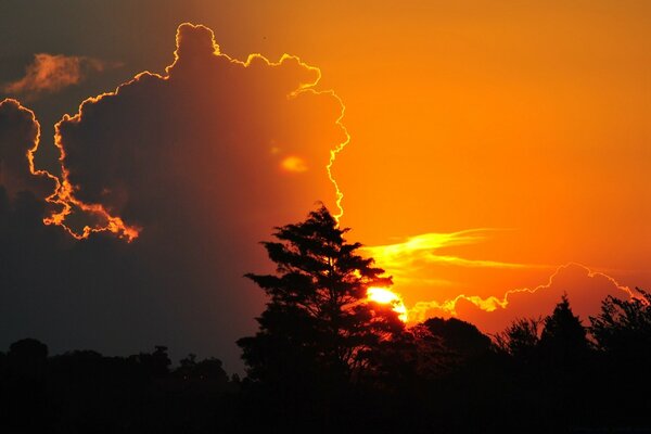 Silueta en el cielo al atardecer