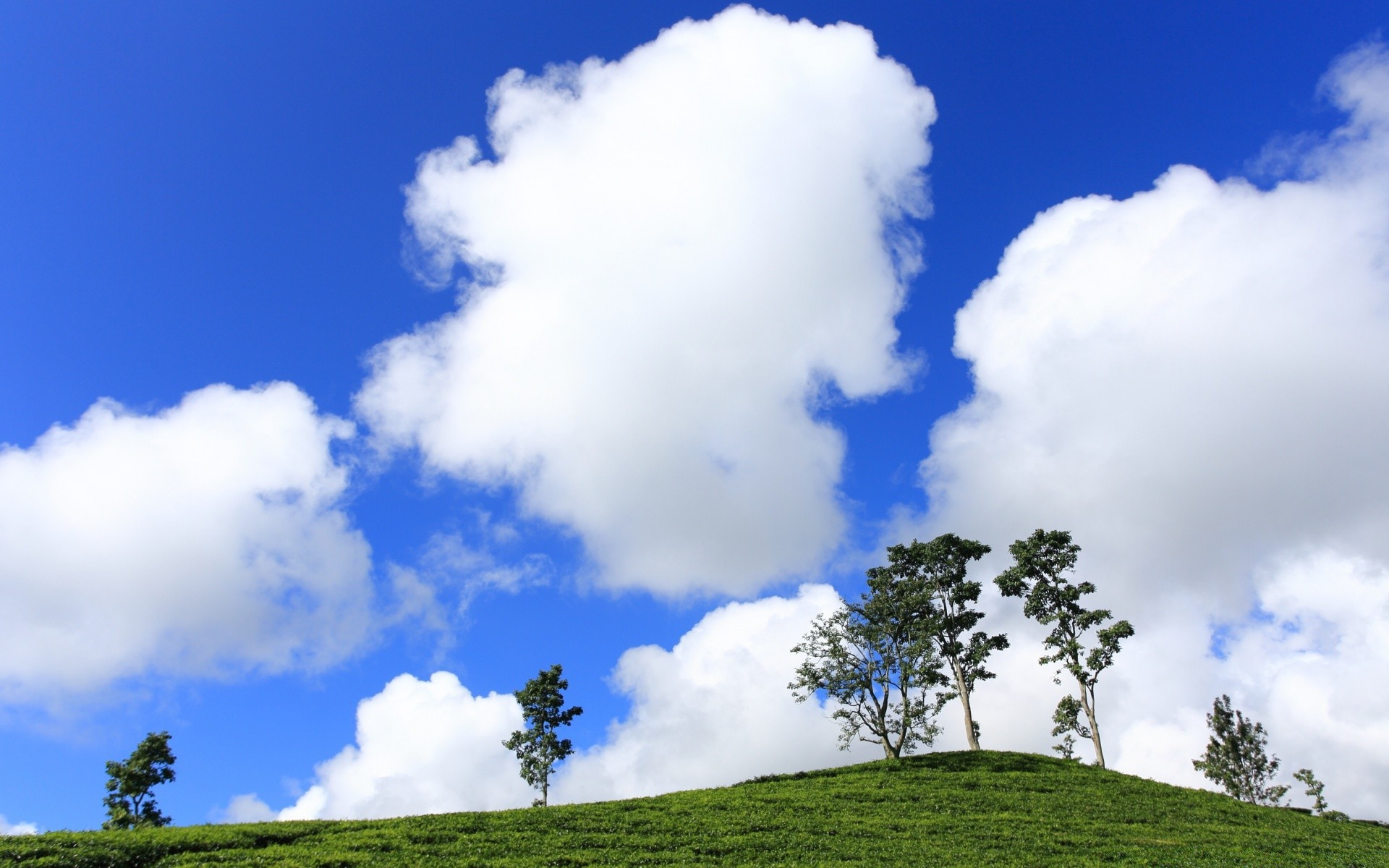 ciel nature paysage ciel herbe en plein air été beau temps arbre campagne rural nuage soleil idylle