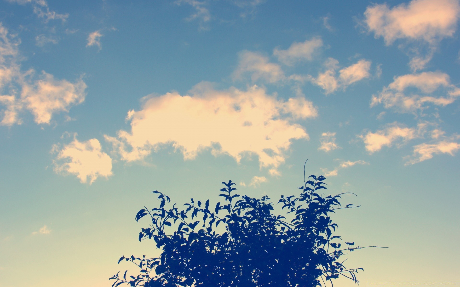 cielo cielo naturaleza paisaje tiempo al aire libre escritorio temporada verano luz del día buen tiempo invierno medio ambiente sol nube escénico