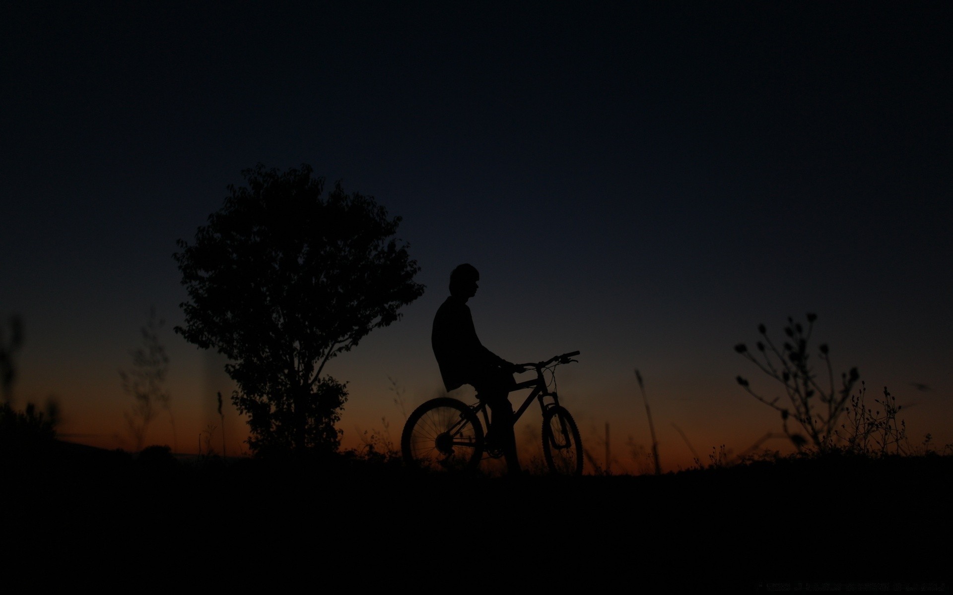 cielo silueta iluminado puesta de sol amanecer anochecer noche paisaje árbol sentado cielo sombra chica solo sol acción luz al aire libre bicicleta