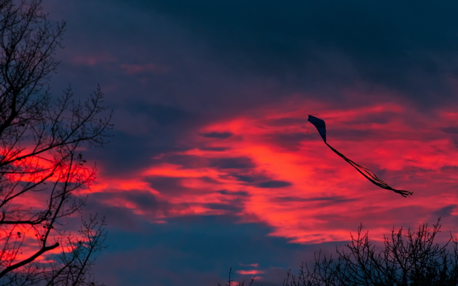 cielo puesta de sol silueta noche amanecer anochecer cielo iluminado paisaje al aire libre naturaleza árbol luz sol tiempo