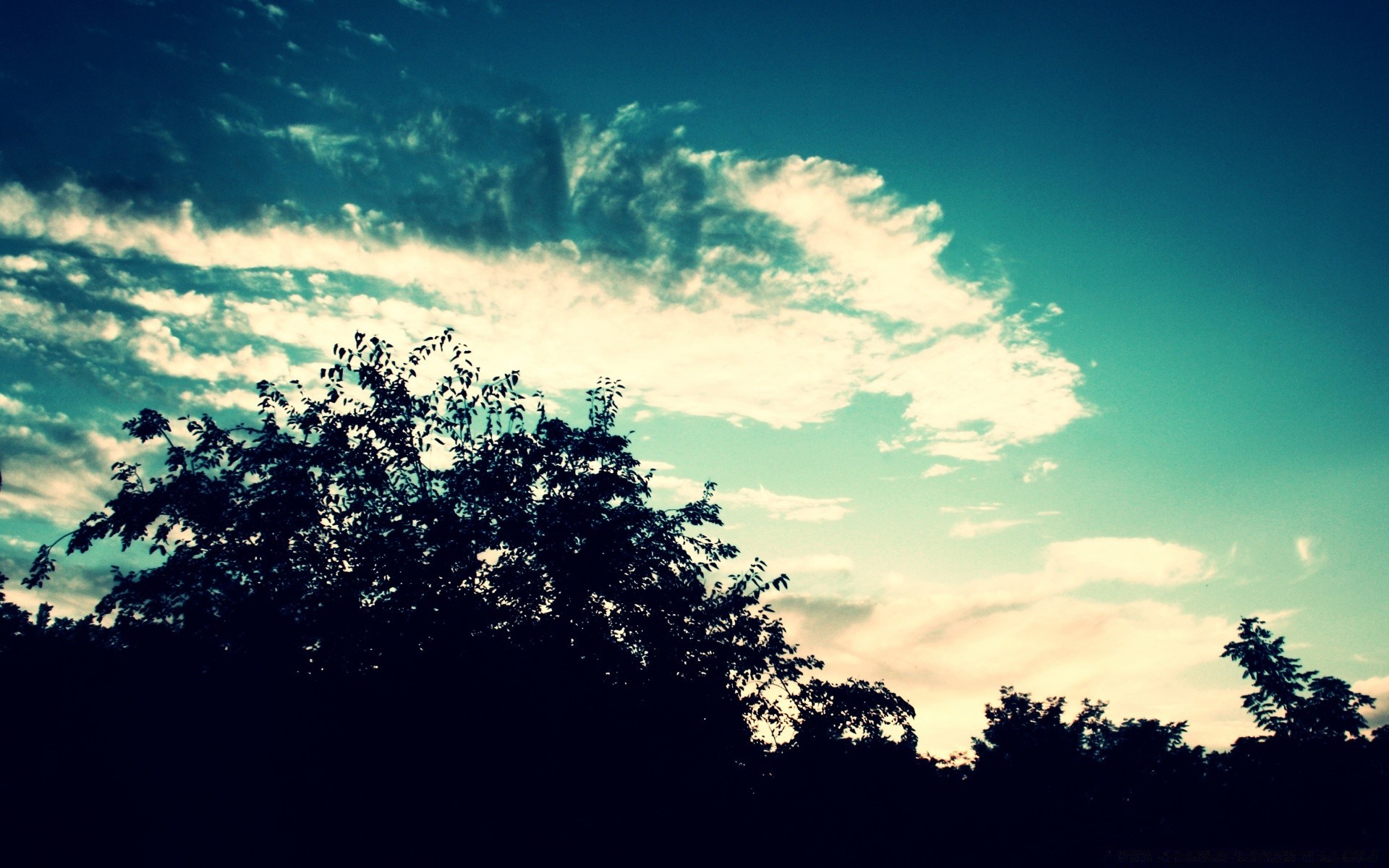 the sky tree landscape sky nature sun outdoors weather dawn fair weather silhouette evening sunset